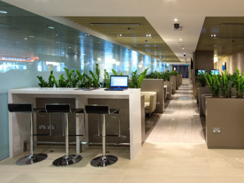 Office: The Haven Changi Airport, 65 Airport Boulevard Changi Airport, Singapore, 819663